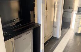 Garsoniera semidecomandata, pet friendly, Manastur/Calvaria