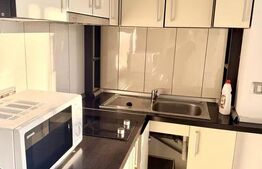 Garsoniera semidecomandata, pet friendly, Manastur/Calvaria