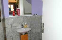 Casa individuala cu 220 mp utili si 605 teren, S+P+1E