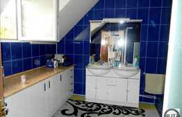 Casa individuala cu 220 mp utili si 605 teren, S+P+1E