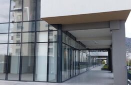 Spațiu de închiriat, la parter, 134 mp utili, zona Noua