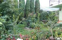 De vanzare casa individuala de lux, zona Andrei Muresanu, 200 mp utili