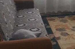 Apartament 3 camere, 56 mp, zona Blocuri, Campia Turzii 