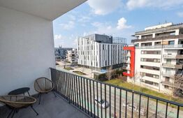 Apartament 2 camere, lux, parcare, pet-friendly, zona: Buna-Ziua