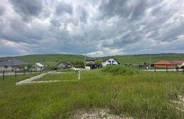 916mp, Dezmir, zona aerisita, urbanism, comision 0