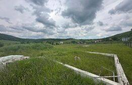 916mp, Dezmir, zona aerisita, urbanism, comision 0