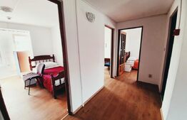 Proprietate cu 10 camere pentru investitie, teren 800 mp, Comuna Mociu