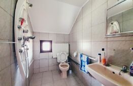 Proprietate cu 10 camere pentru investitie, teren 800 mp, Comuna Mociu