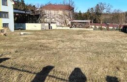Proprietate cu 10 camere pentru investitie, teren 800 mp, Comuna Mociu
