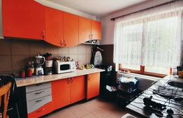 Proprietate cu 10 camere pentru investitie, teren 800 mp, Comuna Mociu