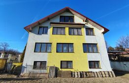 Proprietate cu 10 camere pentru investitie, teren 800 mp, Comuna Mociu