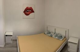 Apartament 2 camere, 51 mp, etaj intermediar, zona Vivo