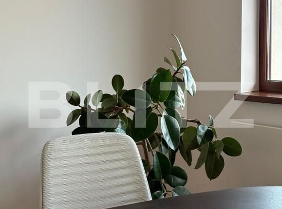 Spațiu comercial de închiriat Brasovul Vechi - 189911SIC | BLITZ Brașov | Poza14