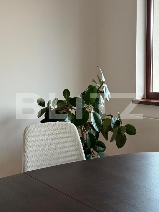 Spațiu comercial de închiriat Brasovul Vechi - 189911SIC | BLITZ Brașov | Poza14