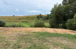 Teren intravilan pentru investitie -2000mp - Șutu comuna Ciurila