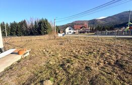 Teren intravilan de vânzare – Sâmbăta de Sus +4 ATV-URI + 1 CONTAINER DE 21 MP