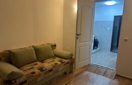 Garsoniera cu baie proprie, 24 mp, etaj 2, centrala, mobilata, utilata - Brasov