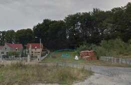 Casa de vanzare la rosu, 134 mp utili, 1000 mp gradina, cu front de 18 ml