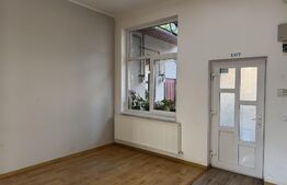 Apartament ultracentral cu curte, 2 unități locative. Str. Pitesti
