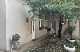 Apartament ultracentral cu curte, 2 unități locative. Str. Pitesti