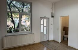 Apartament ultracentral cu curte, 2 unități locative. Str. Pitesti