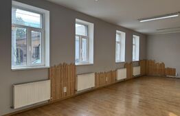 Apartament ultracentral cu curte, 2 unități locative. Str. Pitesti