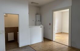 Apartament ultracentral cu curte, 2 unități locative. Str. Pitesti