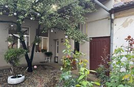 Apartament ultracentral cu curte, 2 unități locative. Str. Pitesti