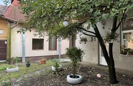 Apartament ultracentral cu curte, 2 unități locative. Str. Pitesti