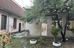 Apartament ultracentral cu curte, 2 unități locative. Str. Pitesti