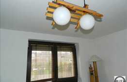 Casa 8 camere, 220 mp, zona Corneliu Coposu