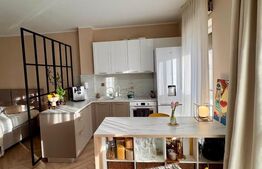 Apartament modern cu 1 cam, 41 mp, parter, cu parcare, in zona Avram Iancu 