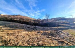 Apartament luminos cu 2 camere, 53 mp, parcare, balcon, zona Teilor