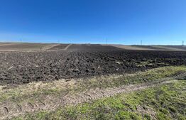 Teren de 26000mp cu potențial pentru investiții în Bonțida!