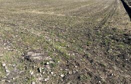 Teren de vânzare Aghiresu-Fabrici - 193969TV | BLITZ Cluj-Napoca | Poza3