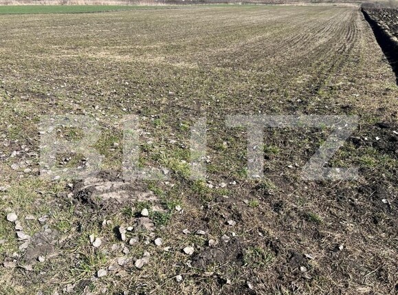 Teren de vânzare Bonţida - 190060TV | BLITZ Cluj-Napoca | Poza1