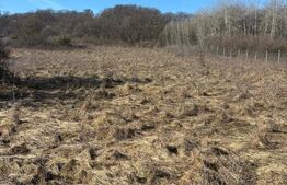 Teren  intravilan, 4300 mp, utilitati la 500 m, Valea Garbaului