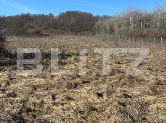 Teren de vânzare Floreşti - 190062TV | BLITZ Cluj-Napoca | Poza1