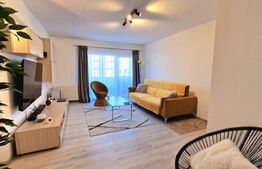 Apartament 2 camere, 50 mp, mobilat modern, etaj 1, parcare, Eroilor central
