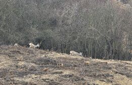 Apartament cu 2 camere, 53 mp, finisat modern, parcare, zona Vivo