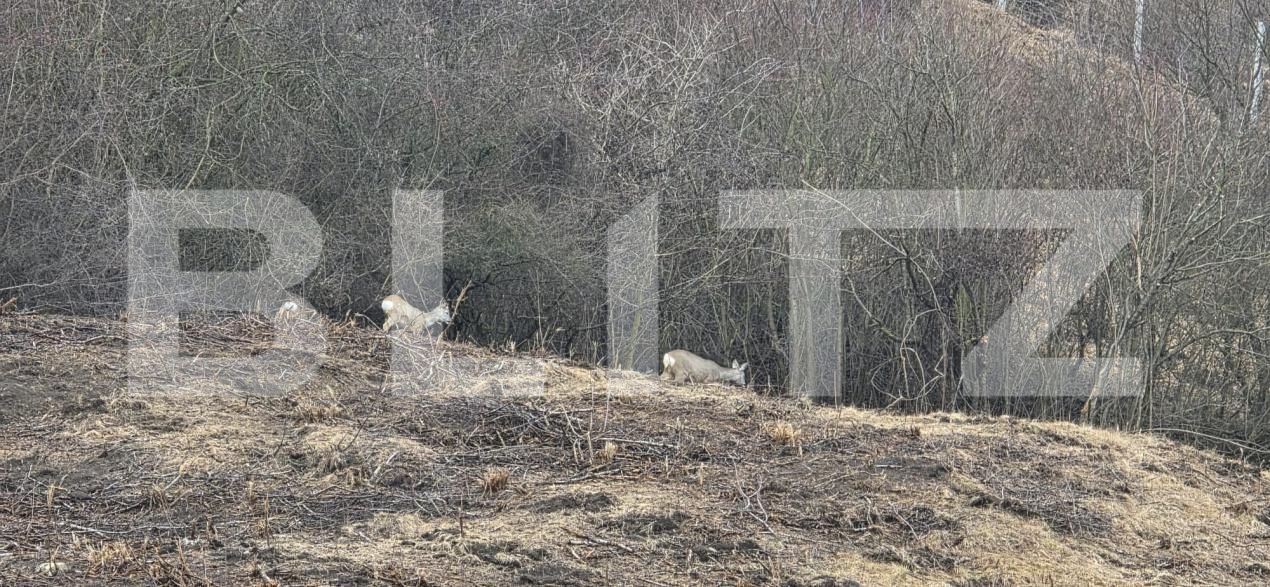 Apartament de vânzare 2 camere Floreşti - 190071AV | BLITZ Cluj-Napoca | Poza18