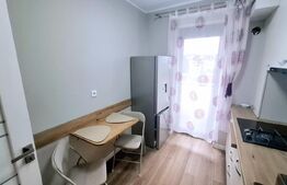 Apartament cu 1 camera, lux, parcare subterana, zona Brancusi