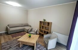 Apartament cu 1 camera, lux, parcare subterana, zona Brancusi