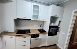 Apartament cu 1 camera, lux, parcare subterana, zona Brancusi