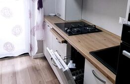 Apartament cu 1 camera, lux, parcare subterana, zona Brancusi