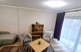 Apartament cu 1 camera, lux, parcare subterana, zona Brancusi