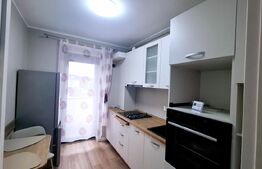 Apartament cu 1 camera, lux, parcare subterana, zona Brancusi