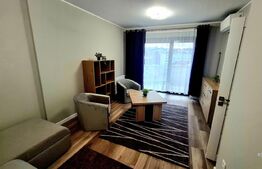 Apartament cu 1 camera, lux, parcare subterana, zona Brancusi