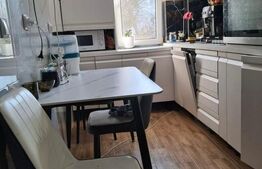 Apartament cu 4 camere, renovat 2024, centrală nouă, boxă, zona BIG Mănăștur