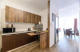 Apartament tip studio – Silver Mountain, Poiana Brașov